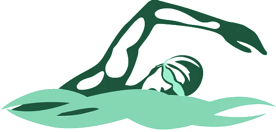 Logo Campeonato Santista de Águas Abertas
